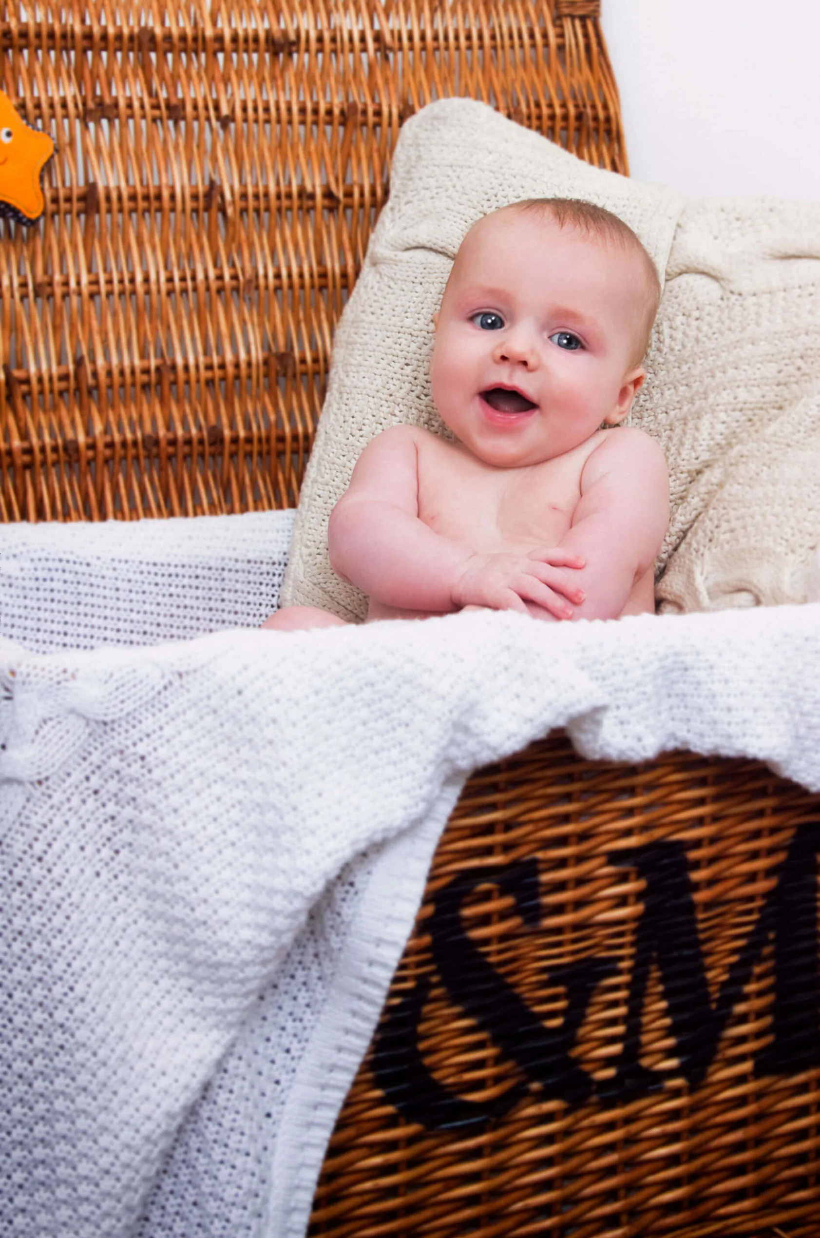 Baby In Basket Photo