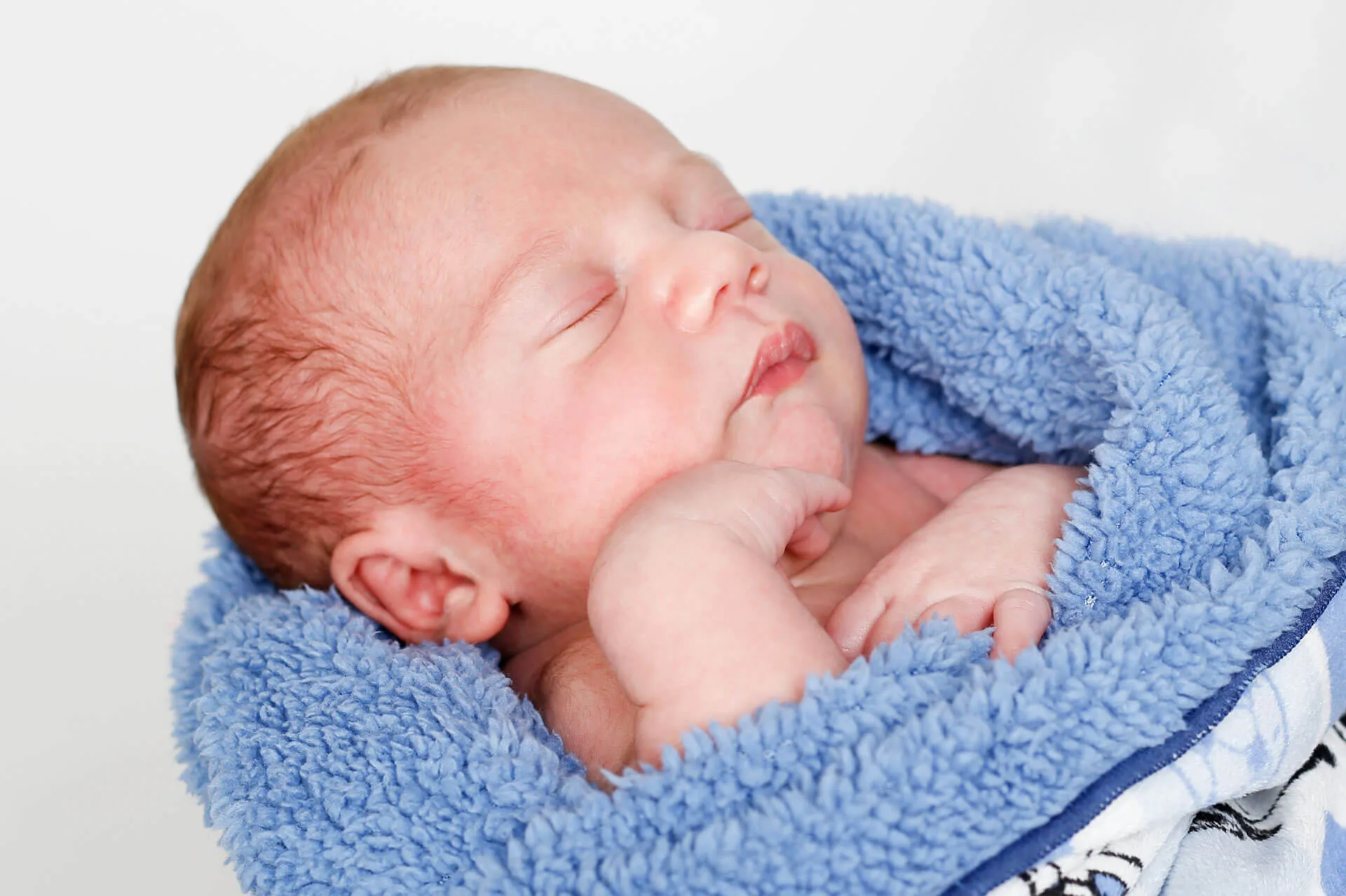 Baby Swaddled Photograph